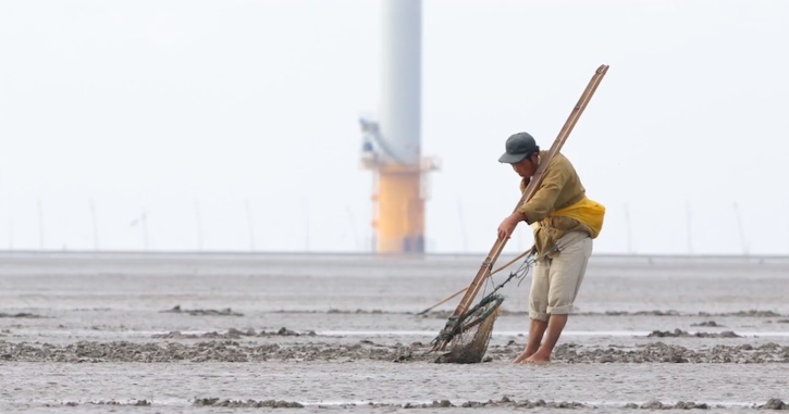 thumbnail image for Video | The Economic Value of Wetlands